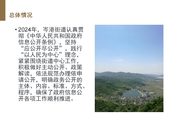 2024政府信息公開年報圖解版_02.jpg