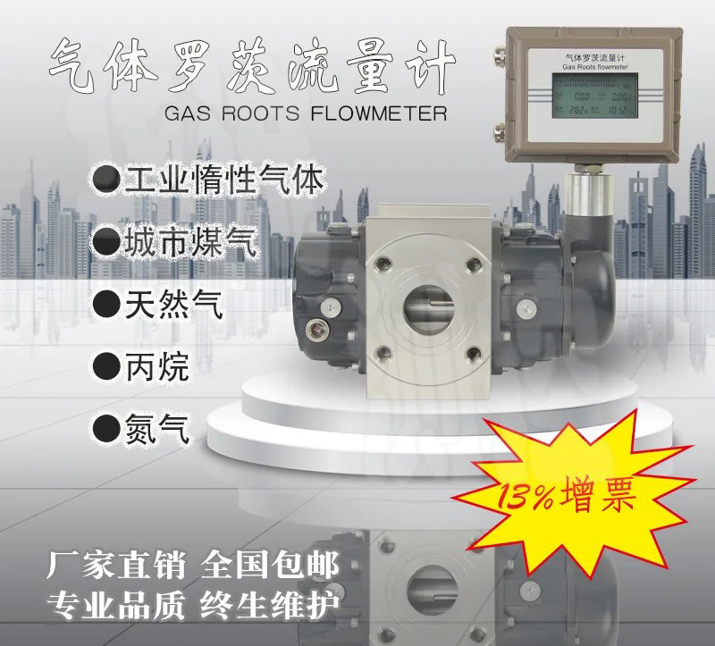 沼氣羅茨流量計產品圖